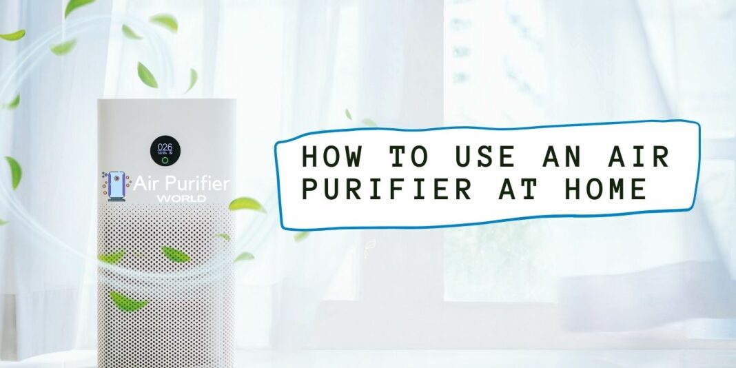 How to Use an Air Purifier at Home: The Ultimate Guide