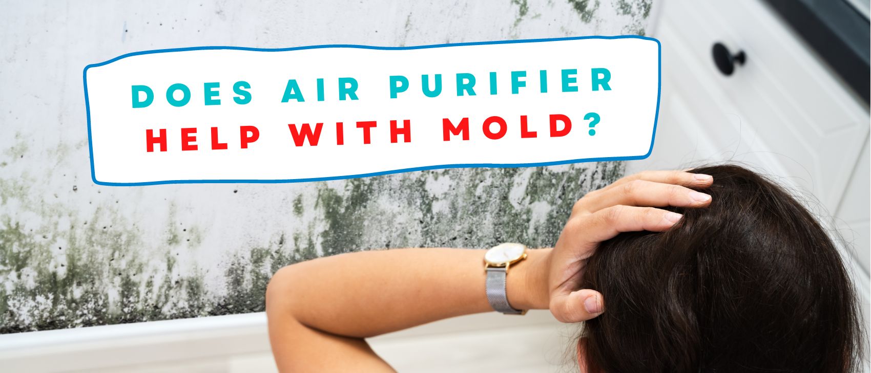 Does Air Purifier Help With Mold?