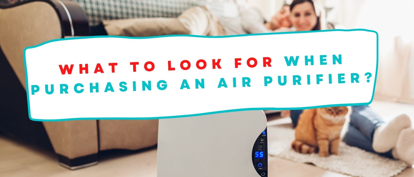 What to Look for When Purchasing an Air Purifier?