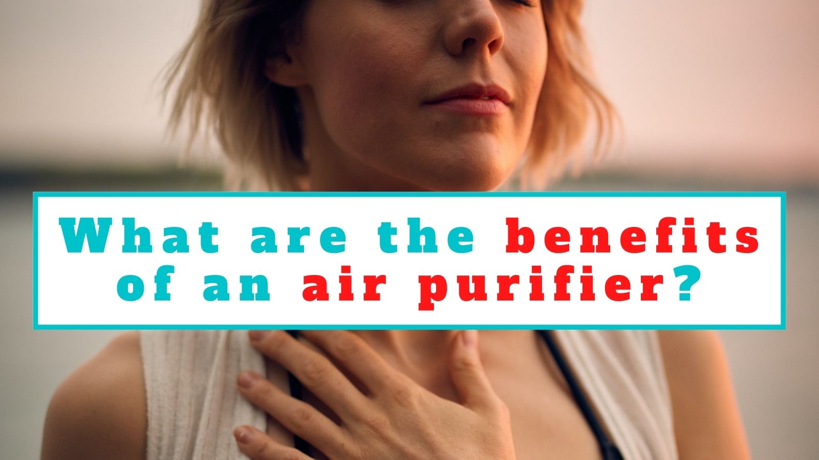 What are the benefits of an air purifier?