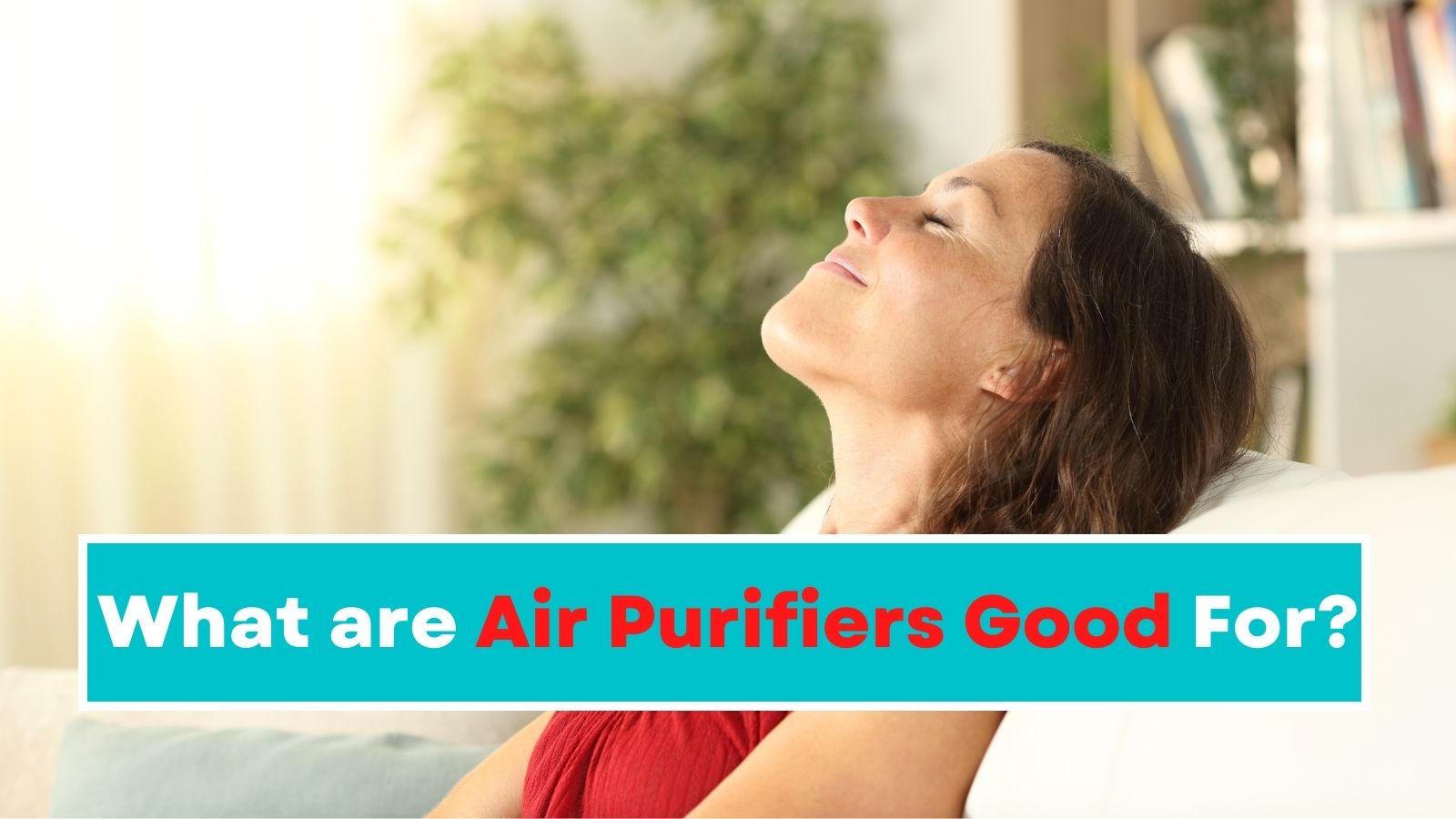 What are Air Purifiers Good For?