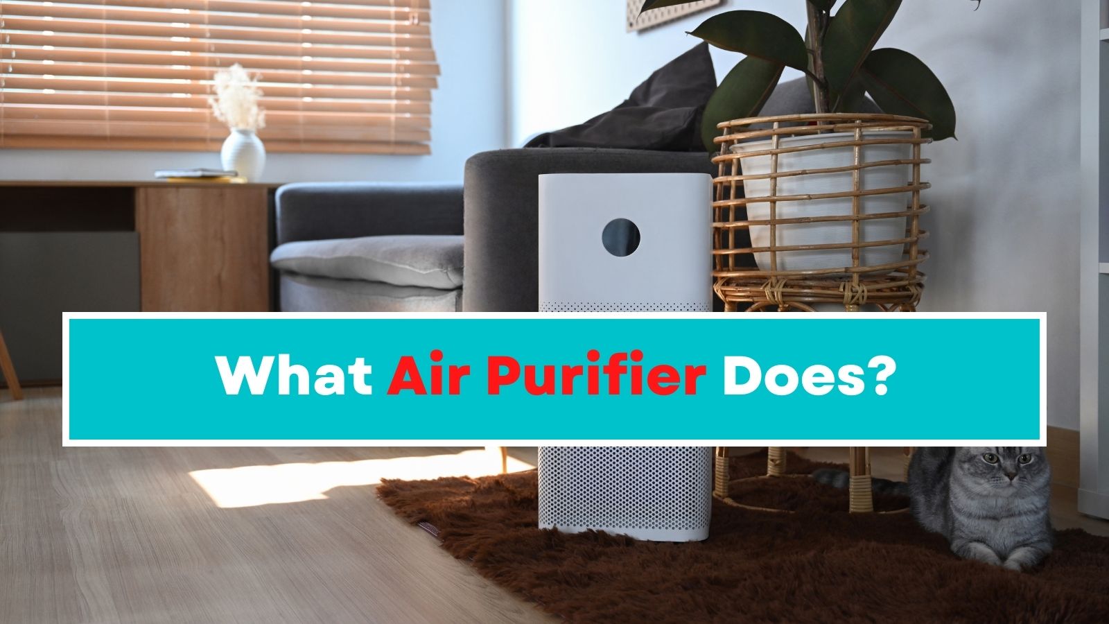 What Air Purifier Does?